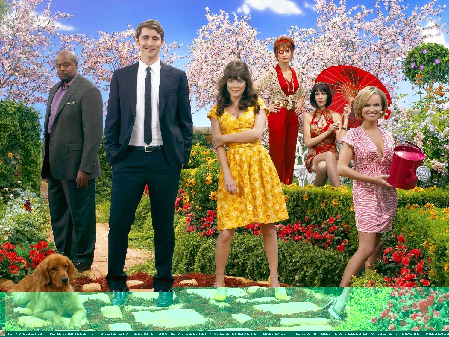 Pushing Daisies - Season 1