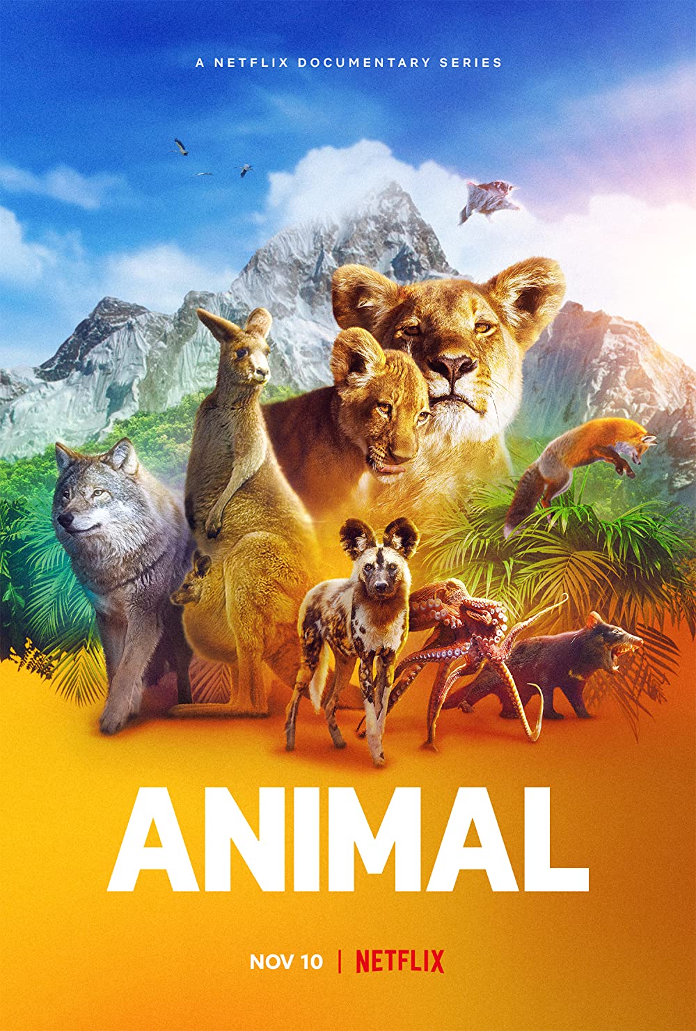 Animal - Season 1 Animal - Season 1