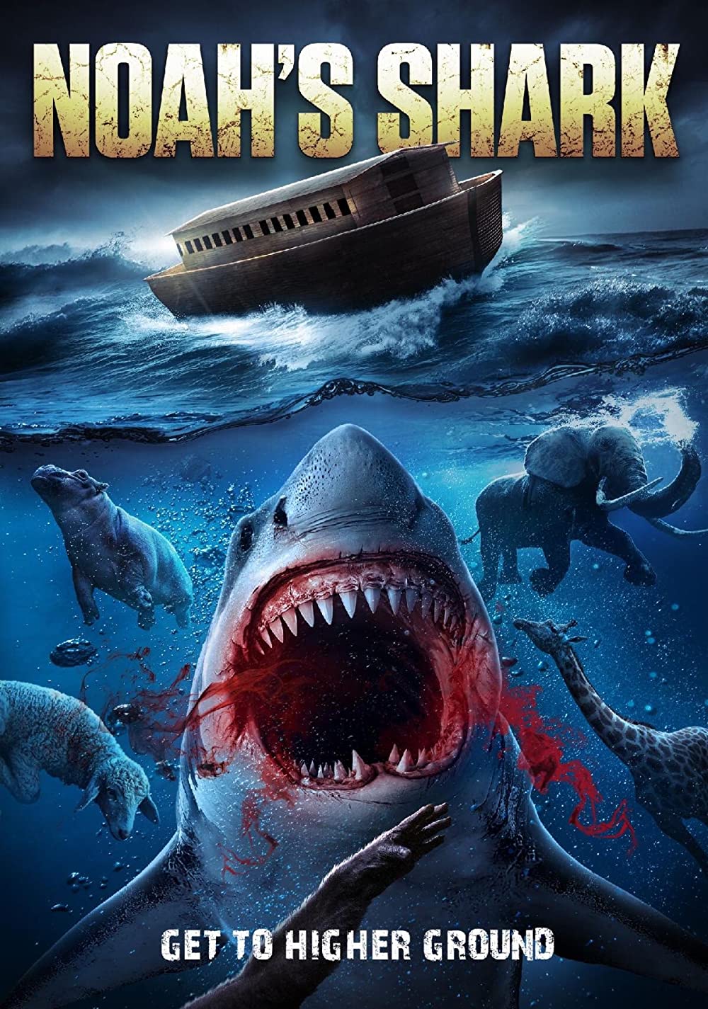 Noah's Shark Noah's Shark