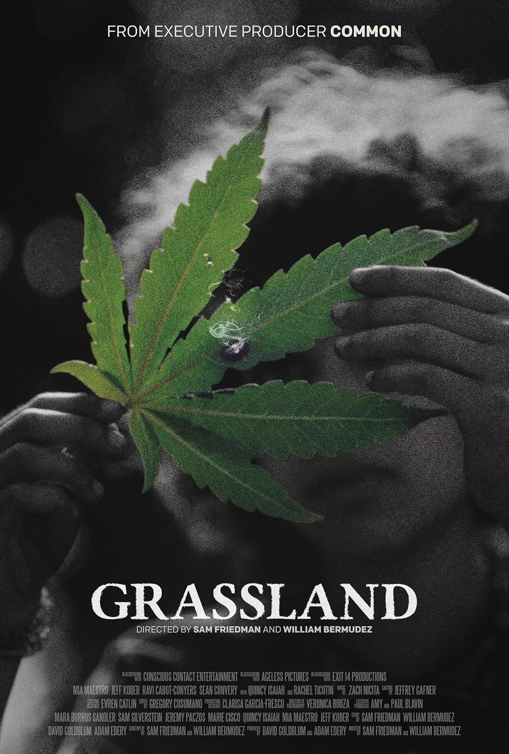 Grassland (2024)