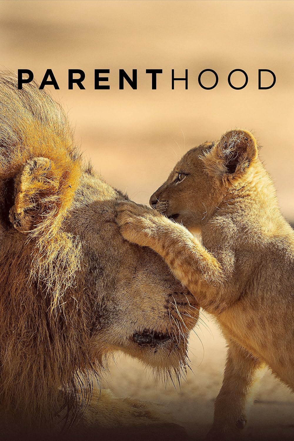 Parenthood (2025) 2025