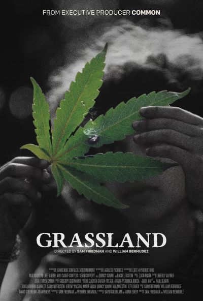Grassland (2024) Grassland (2024)