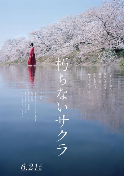Sakura (2024)