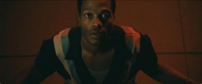 Terrestrial (2025)