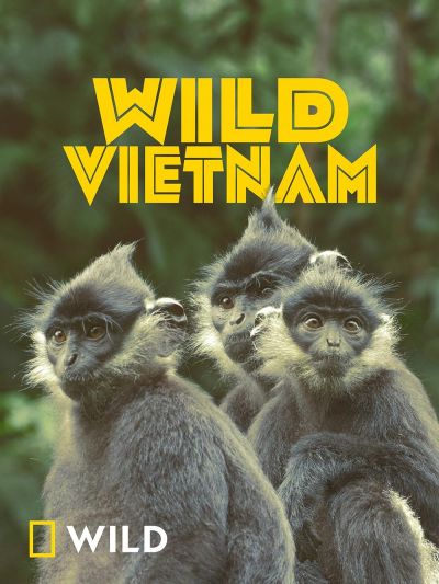Wild Vietnam (2024)
